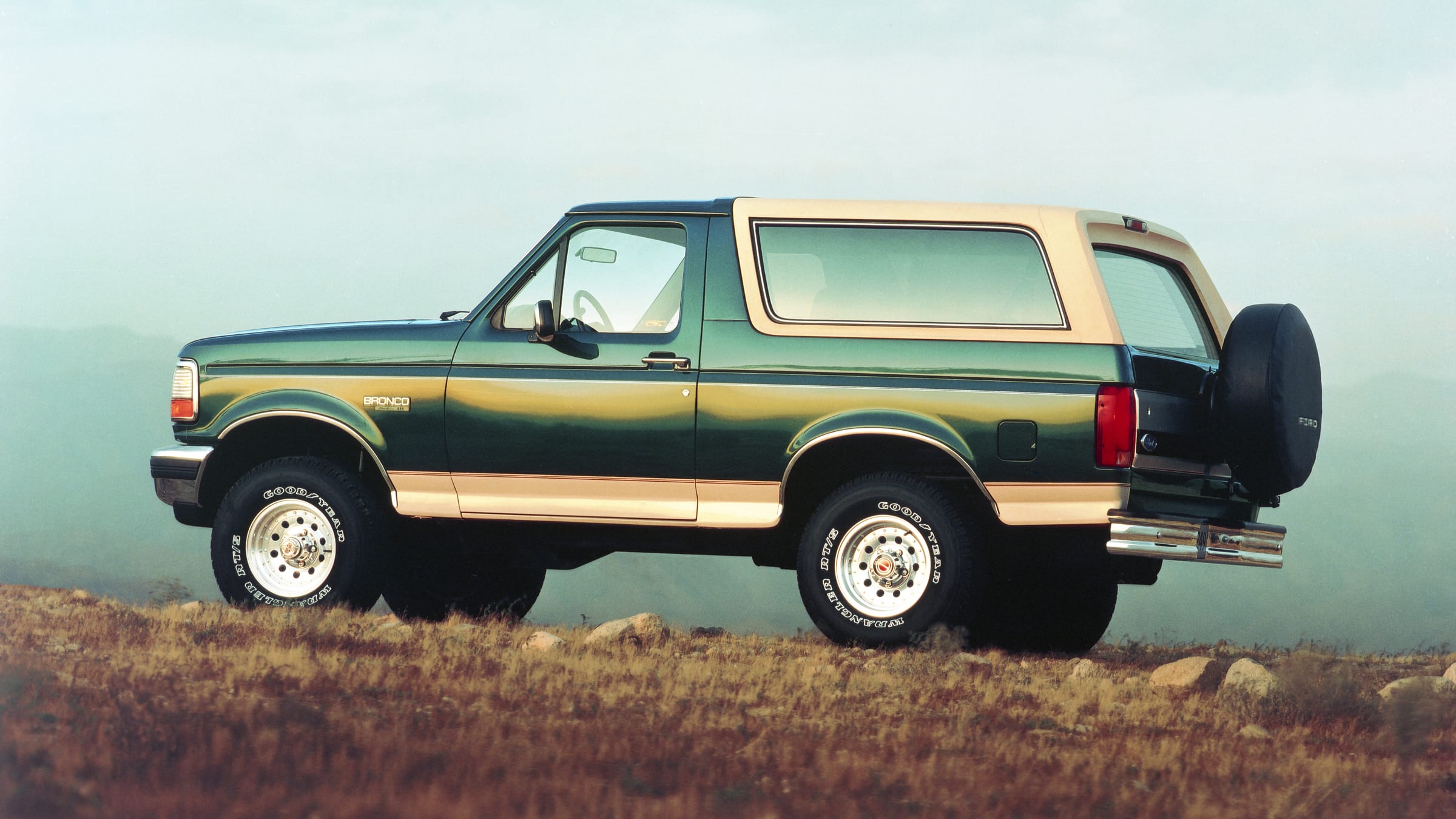 1993%20Ford%20Bronco.jpg?